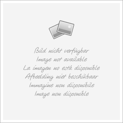 Grundriß